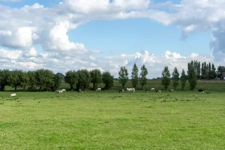 De Korte Lindehoeve, maison 5p avec vue sur prairies : photo 35