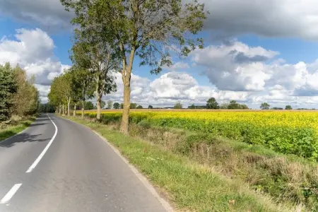 De Korte Lindehoeve, maison 5p avec vue sur prairies : photo 36