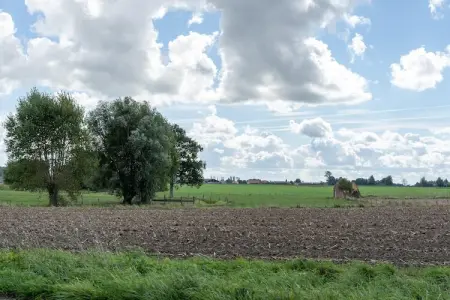 De Korte Lindehoeve, maison 5p avec vue sur prairies : photo 39
