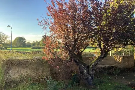 La Castinière – Maison 4 pers. avec jardin privé : photo 22