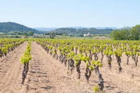 La Castinière – Maison 4 pers. avec jardin privé : photo 37