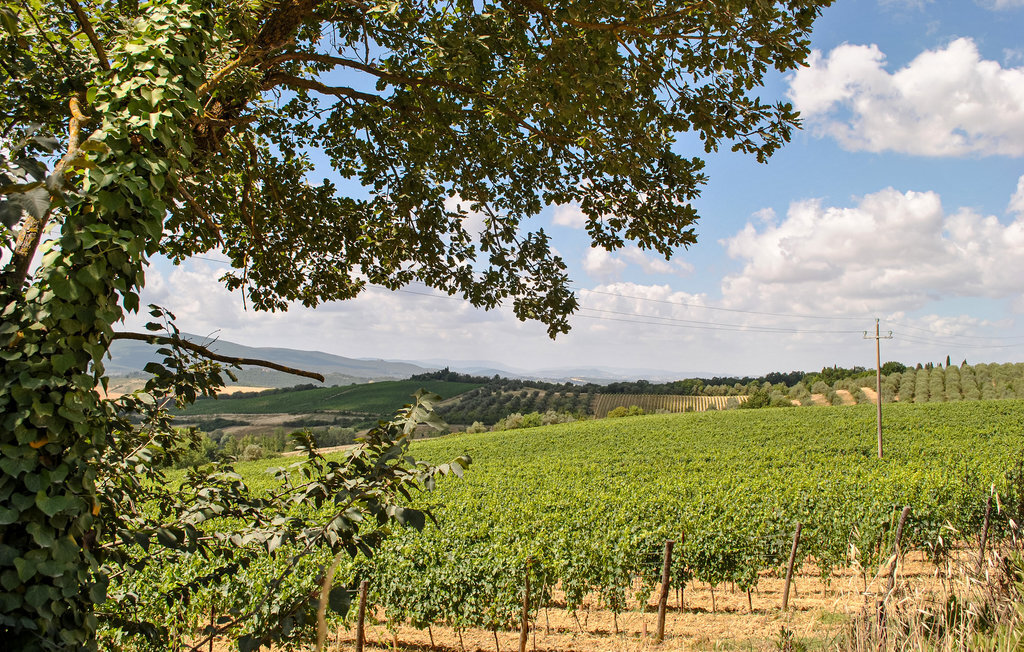 Casa Umiliati, Maison 9 personnes à Castellina in Chianti - Photo 46