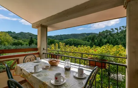 Maison toscane 8 personnes avec piscine privée à Camaiore : photo 6