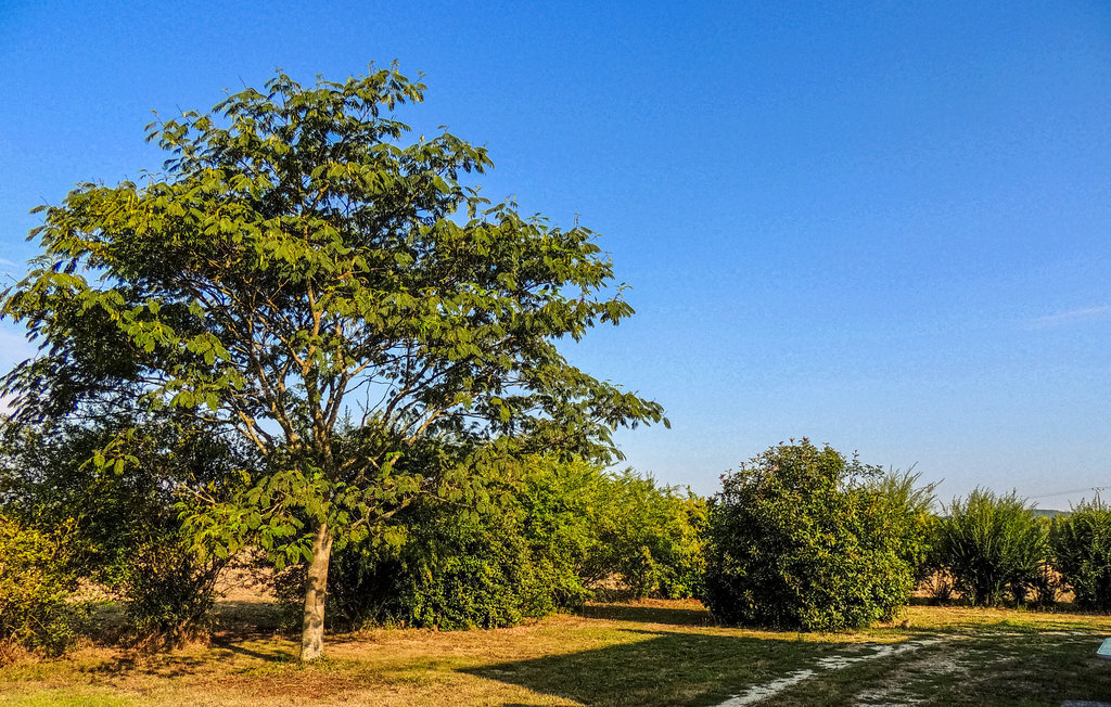 Maison en pierre près de la Dordogne, 3 personnes - Photo 2