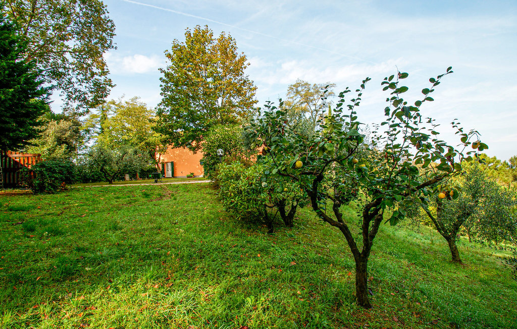 Maison de campagne 2 chambres, 2 ha, vue panoramique - Photo 15