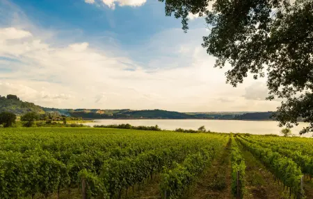 Maison 10 personnes à Passignano sul Trasime - Photo 62