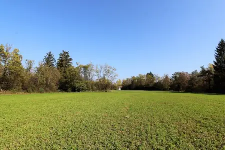 Cason sul Piave – Maison rustique 4 pers. à la campagne : photo 10
