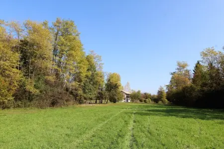 Cason sul Piave – Maison rustique 4 pers. à la campagne : photo 12