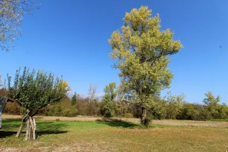 Cason sul Piave – Maison rustique 4 pers. à la campagne : photo 22