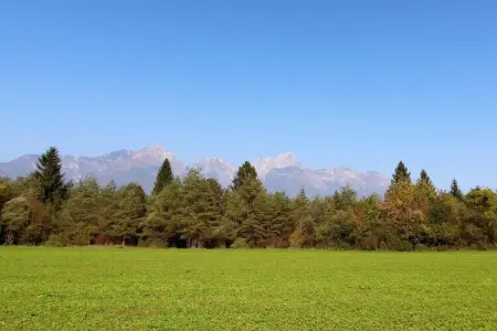 Cason sul Piave – Maison rustique 4 pers. à la campagne : photo 25