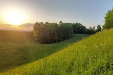 Cason sul Piave – Maison rustique 4 pers. à la campagne : photo 40