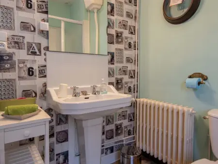 Gîte XVIIe siècle avec sauna, jacuzzi et salle de jeux à Boisseaux : photo 26