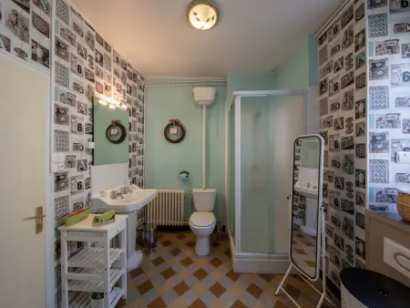 Gîte XVIIe siècle avec sauna, jacuzzi et salle de jeux à Boisseaux : photo 27