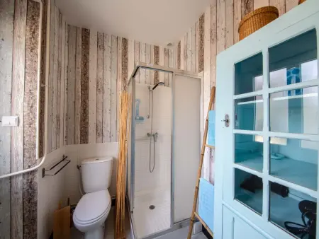 Gîte XVIIe siècle avec sauna, jacuzzi et salle de jeux à Boisseaux : photo 35