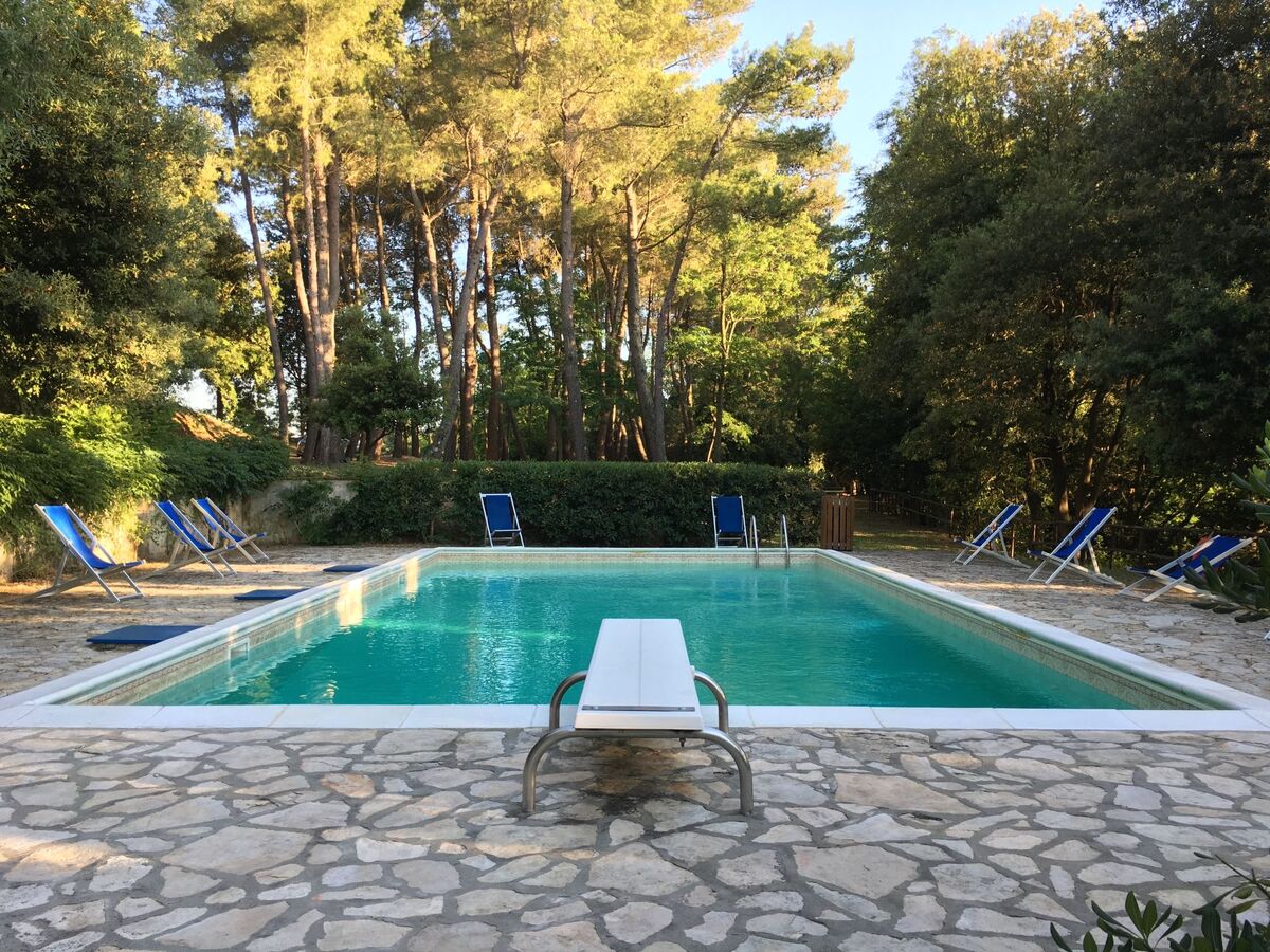 Gîte Pietra 4 pers. – Casciana Terme, piscine commune - Photo 2