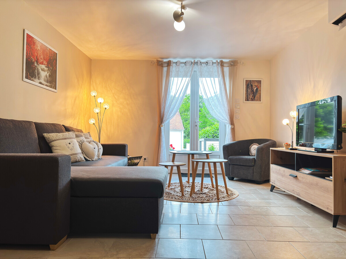 Gîte 11 pers. près du zoo de Beauval, cour privative - Photo 2