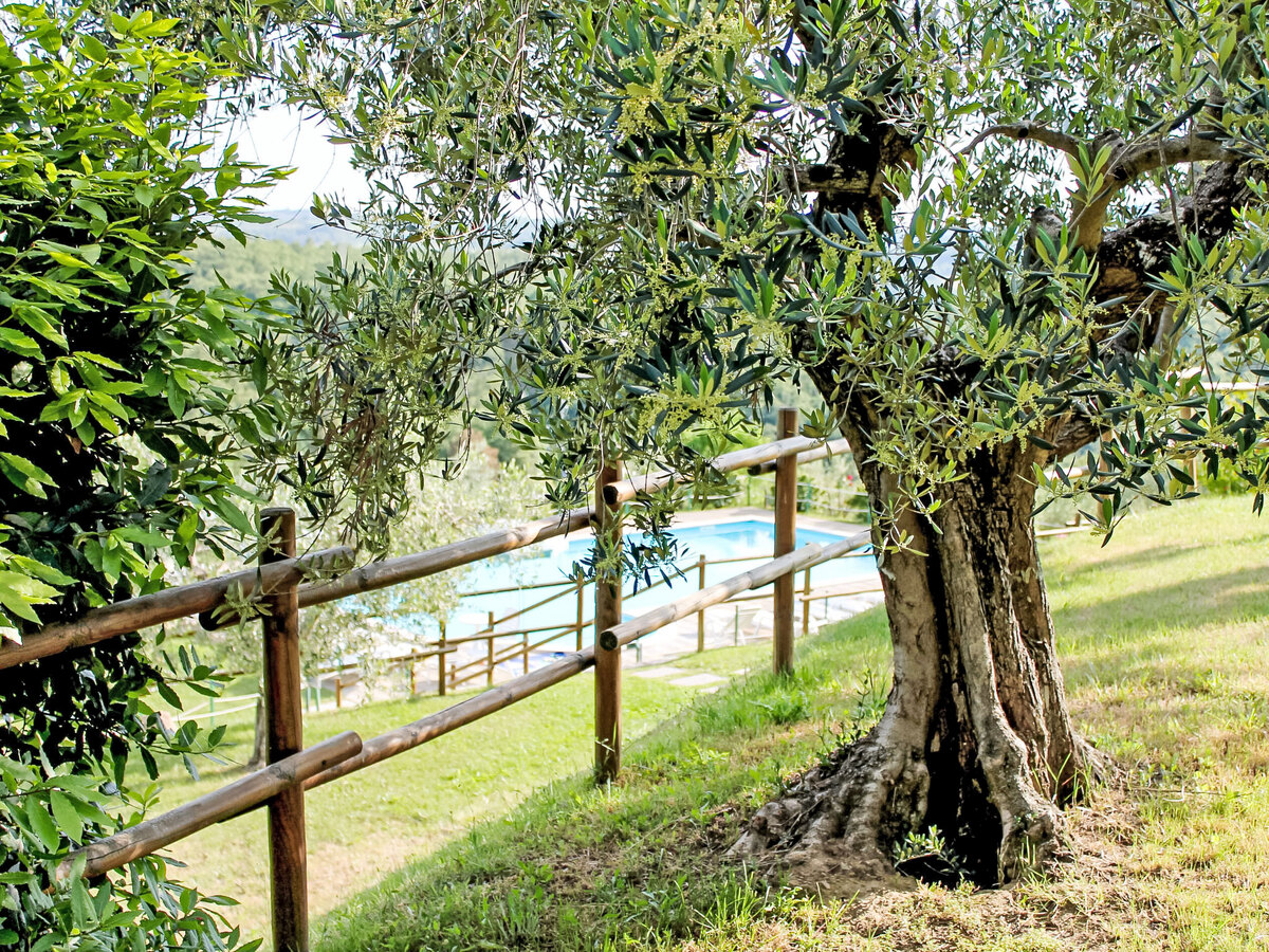 Gite Malagronda à Città della Pieve, 4 pers. - Photo 21