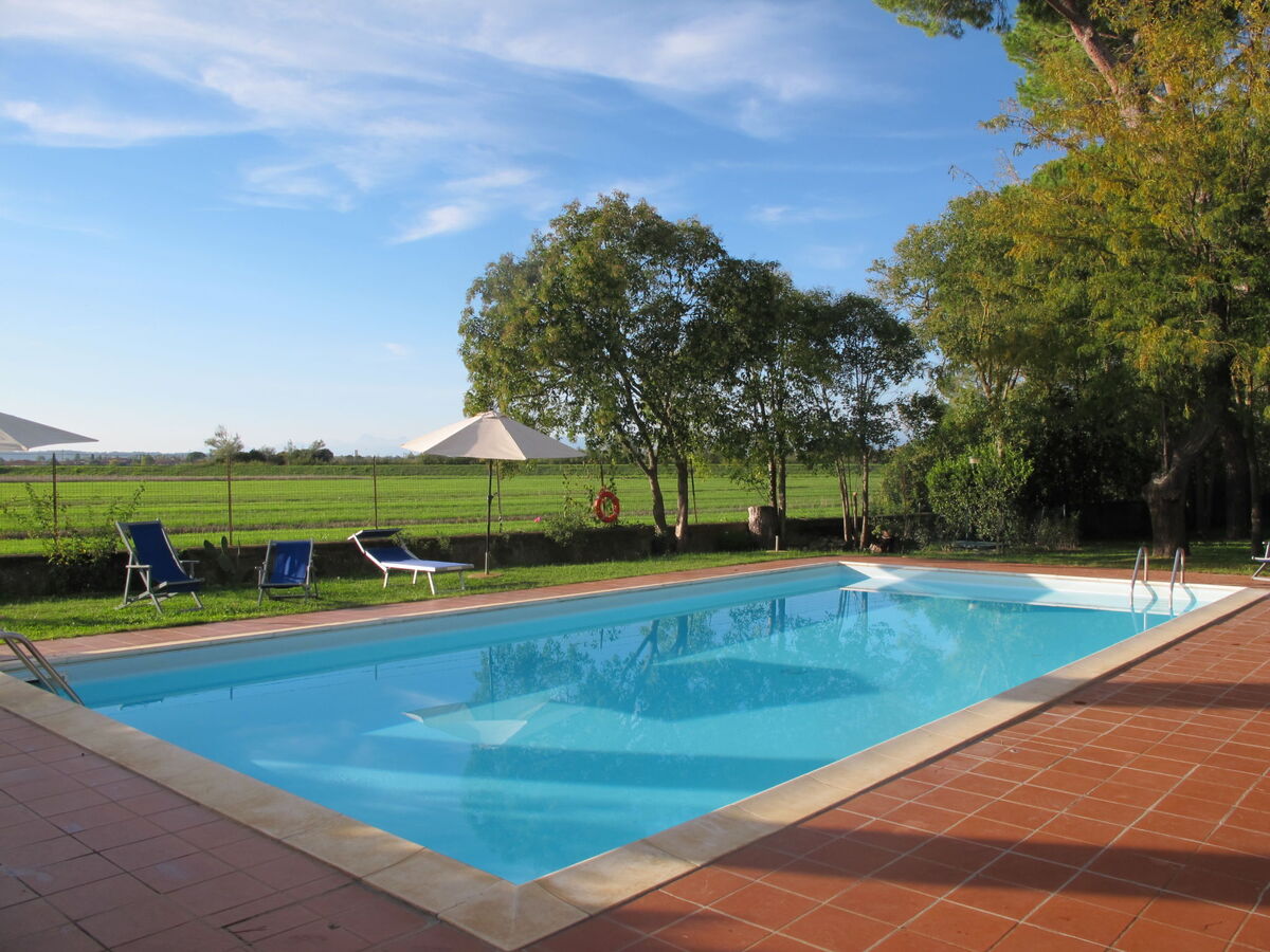 Scaletta + Girasole – Maison 33 pers. à San Miniato - Photo 3
