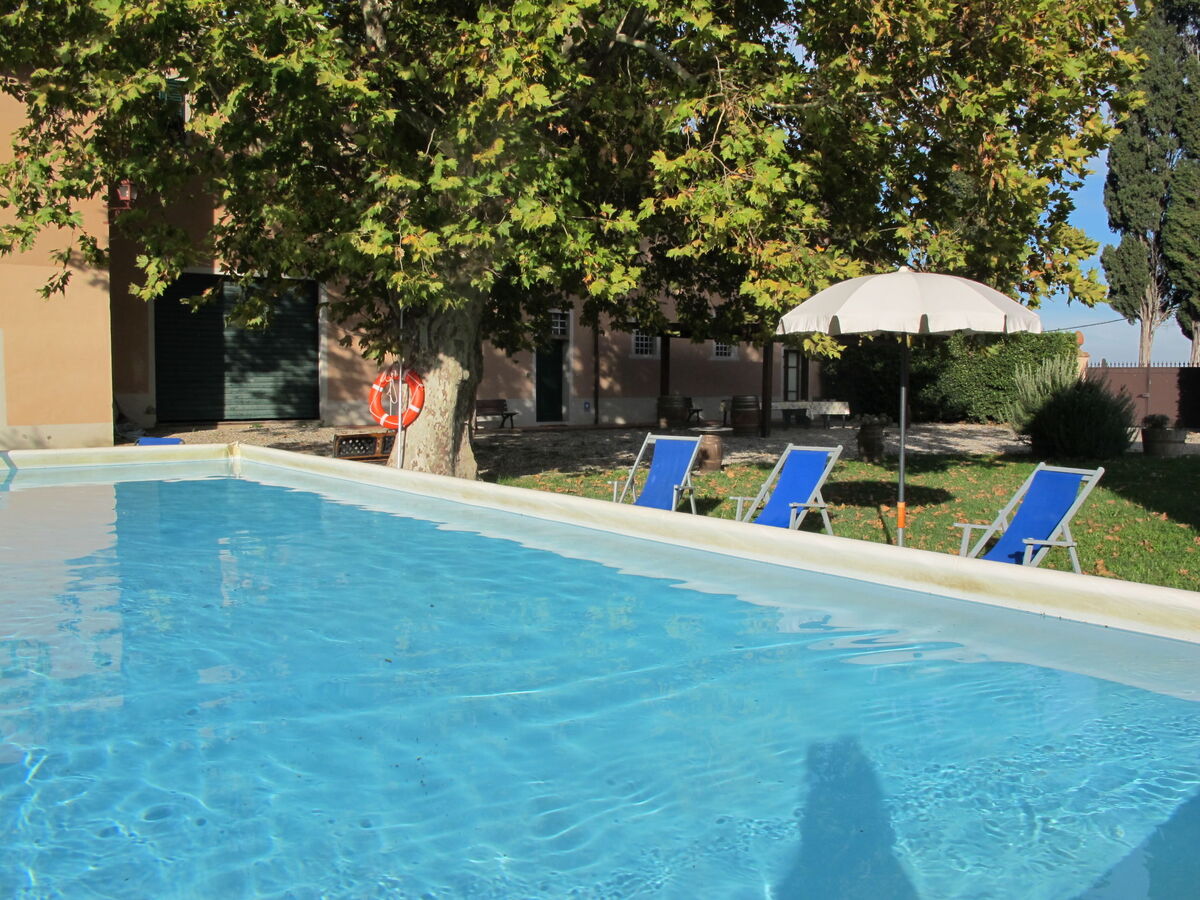 Scaletta + Girasole – Maison 33 pers. à San Miniato - Photo 82