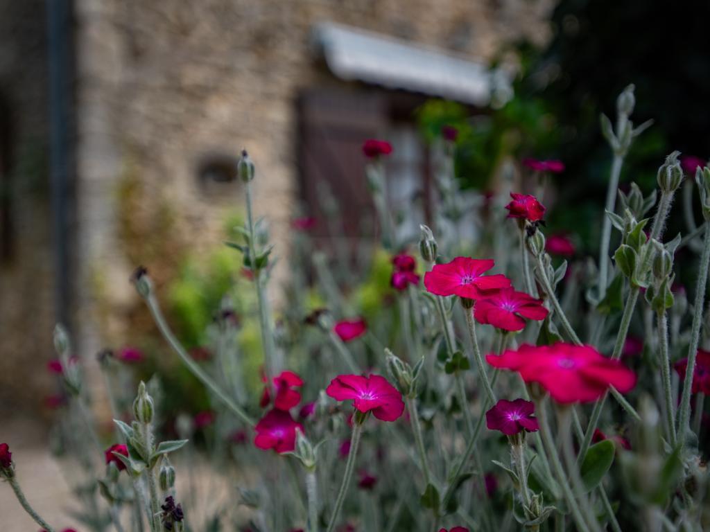 Gîte Le Pasturale à Prats du Périgord, 6 pers. - Photo 33