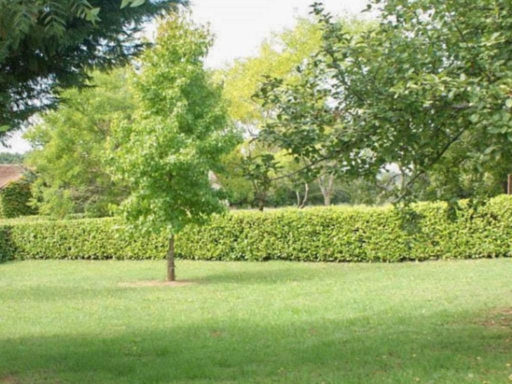 Le Tilleuil en Périgord – Maison 6 personnes, piscine - Photo 37