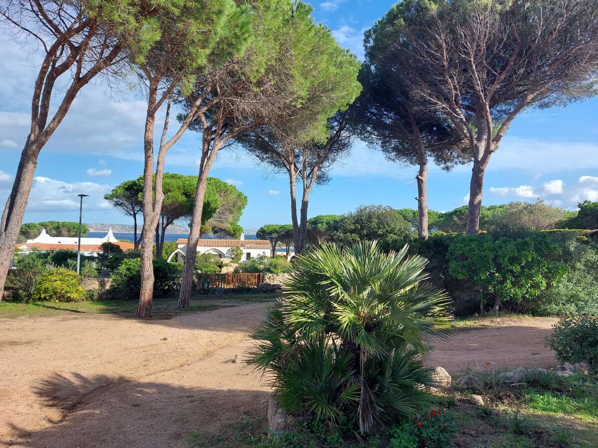 Maison Bolina – terrasse 80 m² et vue mer à Porto Pozzo - Photo 5