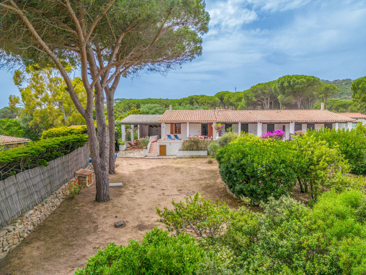 Maison Bolina – terrasse 80 m² et vue mer à Porto Pozzo - Photo 28