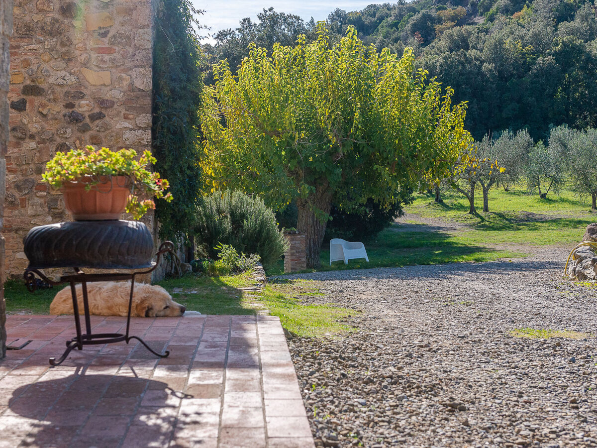 Podere Vignali - Maison rustique 12 pers. avec piscine - Photo 69