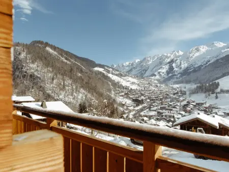 Chalet Kamchatka 5★, 10 pers, spa & sauna à 230m des pistes : photo 20
