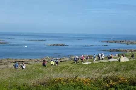Maison en granit avec vue mer à St. Pol-de-Léon : photo 39