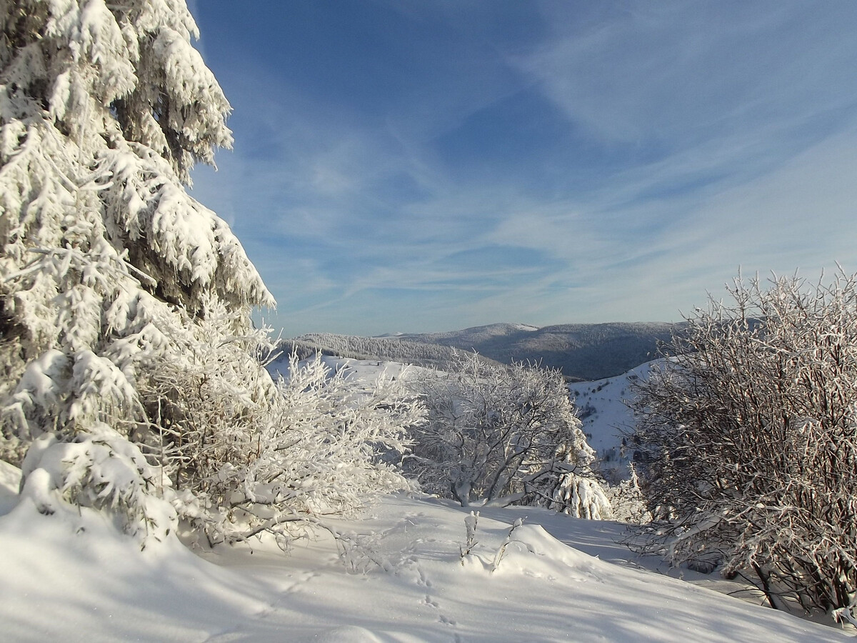 Chalet 5 pers. à La Bresse, randonnées et lamas - Photo 20