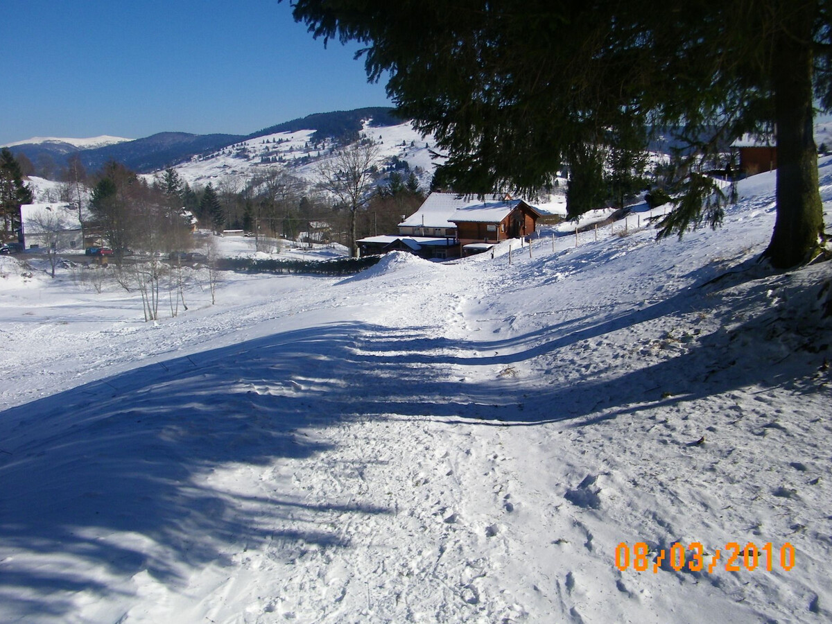 Chalet 5 pers. à La Bresse, randonnées et lamas - Photo 21