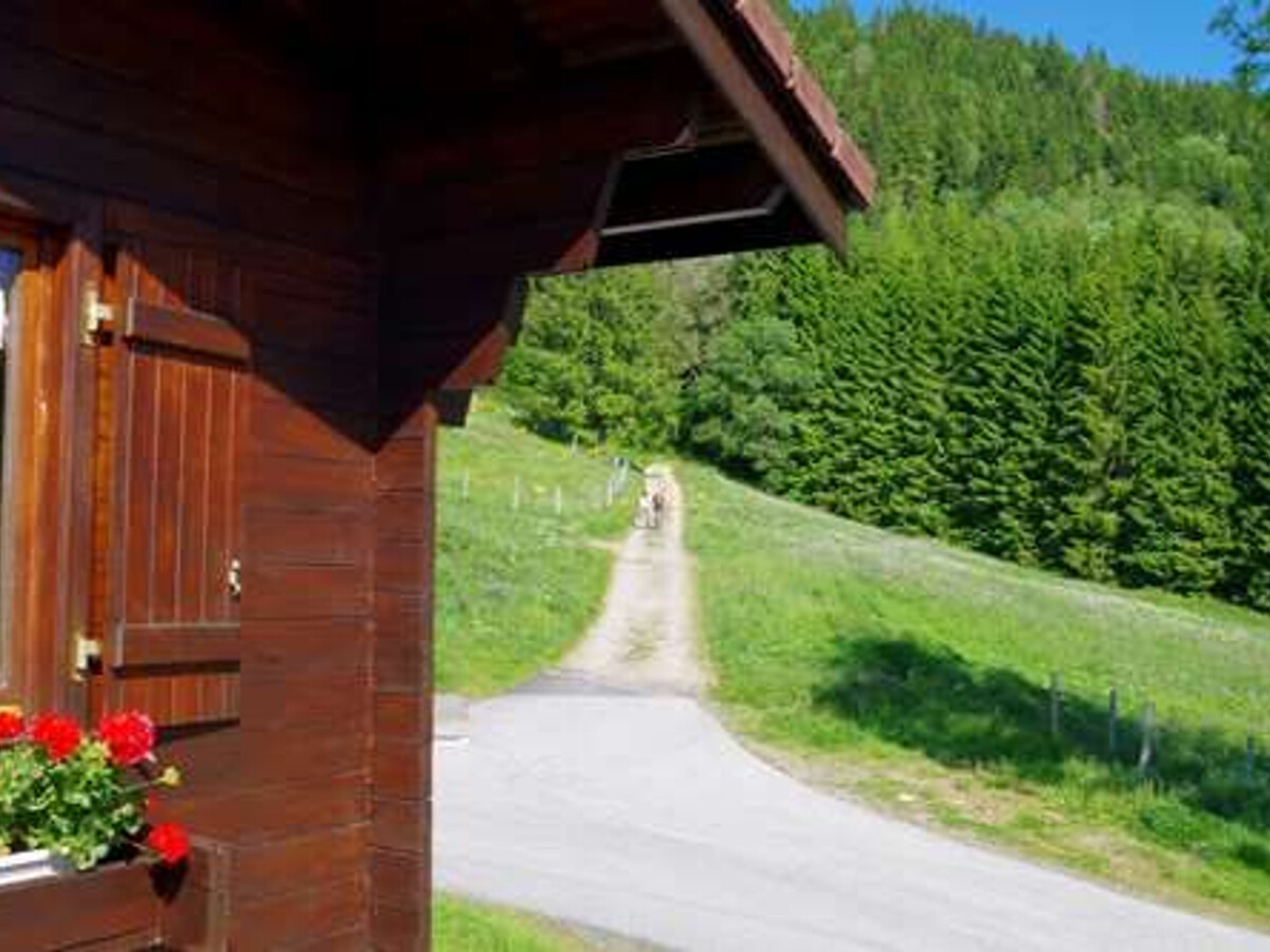 Chalet 5 pers. à La Bresse, randonnées et lamas - Photo 22