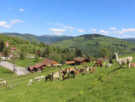 Location gite de vacances à La Bresse