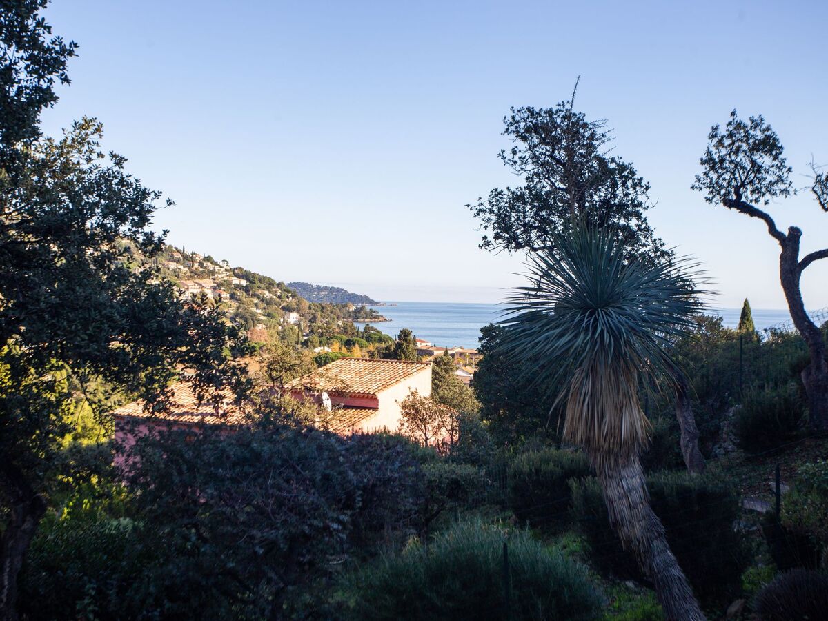 Les Restanques du Vallon – Maison 6 pers. au Lavandou - Photo 25