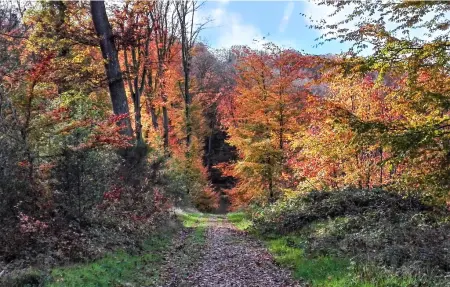Maison 8 personnes à Lyons la Forêt - Photo 19