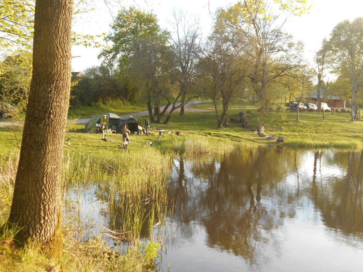Chalet 4 pers. avec pêche et piscine naturelle à Treignat - Photo 15
