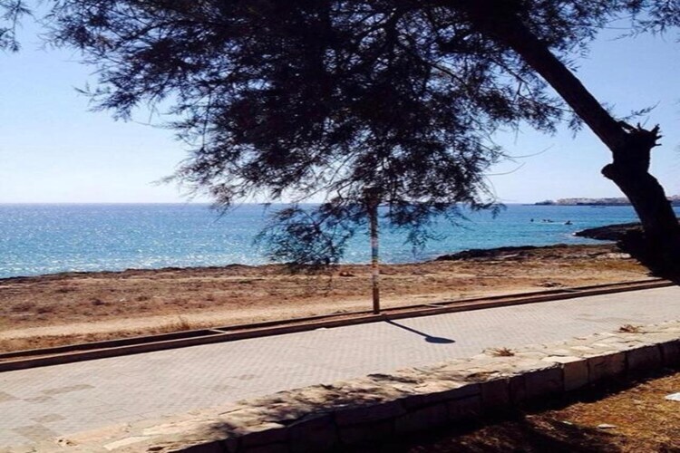 Maison 6 pers. à 4 km de Lido Pizzo - Photo 37