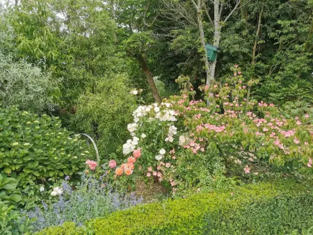 Gîte dans ancien pressoir du XIXe siècle à La Hague : photo 22