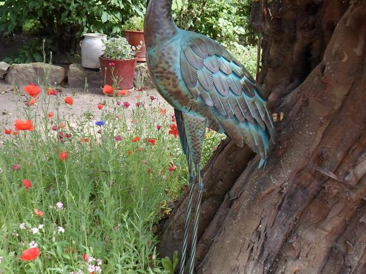 Grange rénovée 6 pers. avec jardin à Deneuille-les-Mines - Photo 13