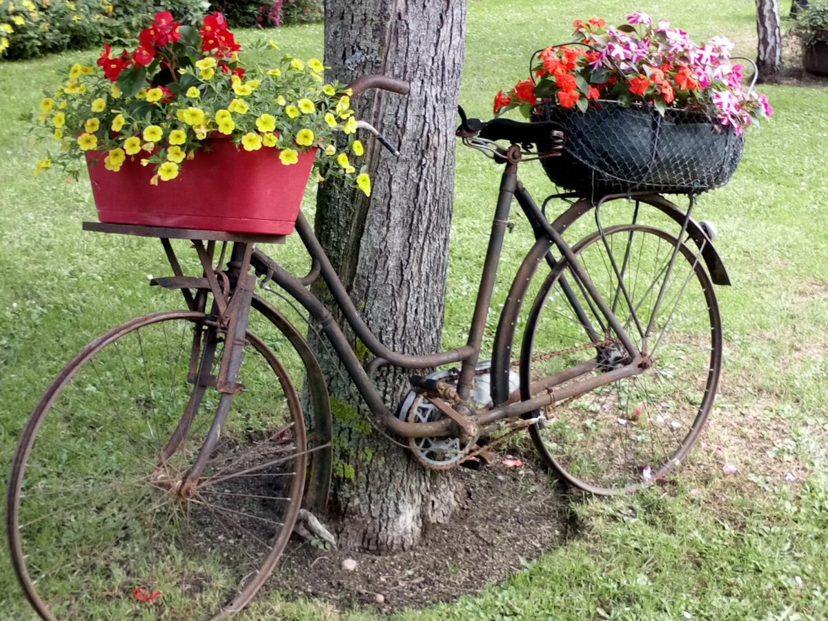 Grange rénovée 6 pers. avec jardin à Deneuille-les-Mines - Photo 14