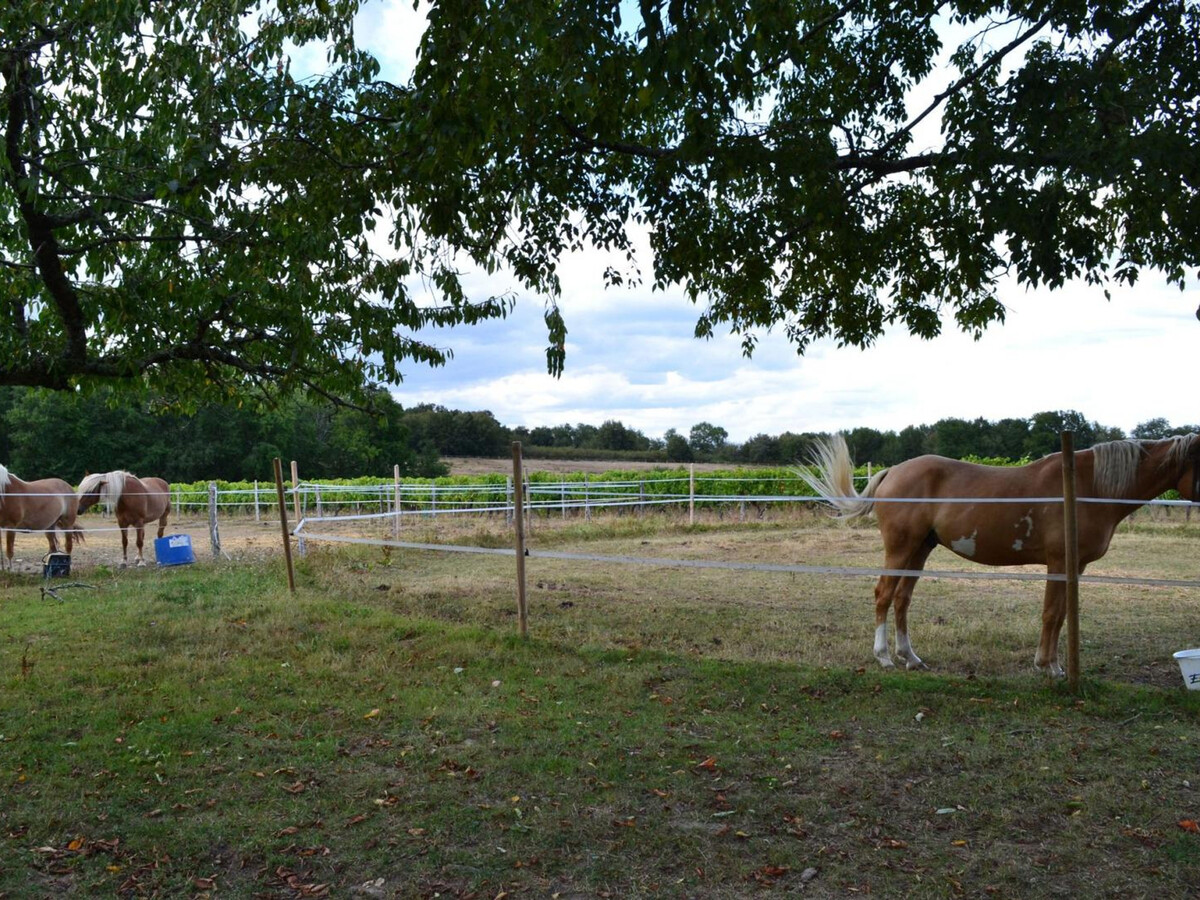 Gite Charentais 4 pers. avec Jardin Clos et Accueil Chevaux - Photo 27