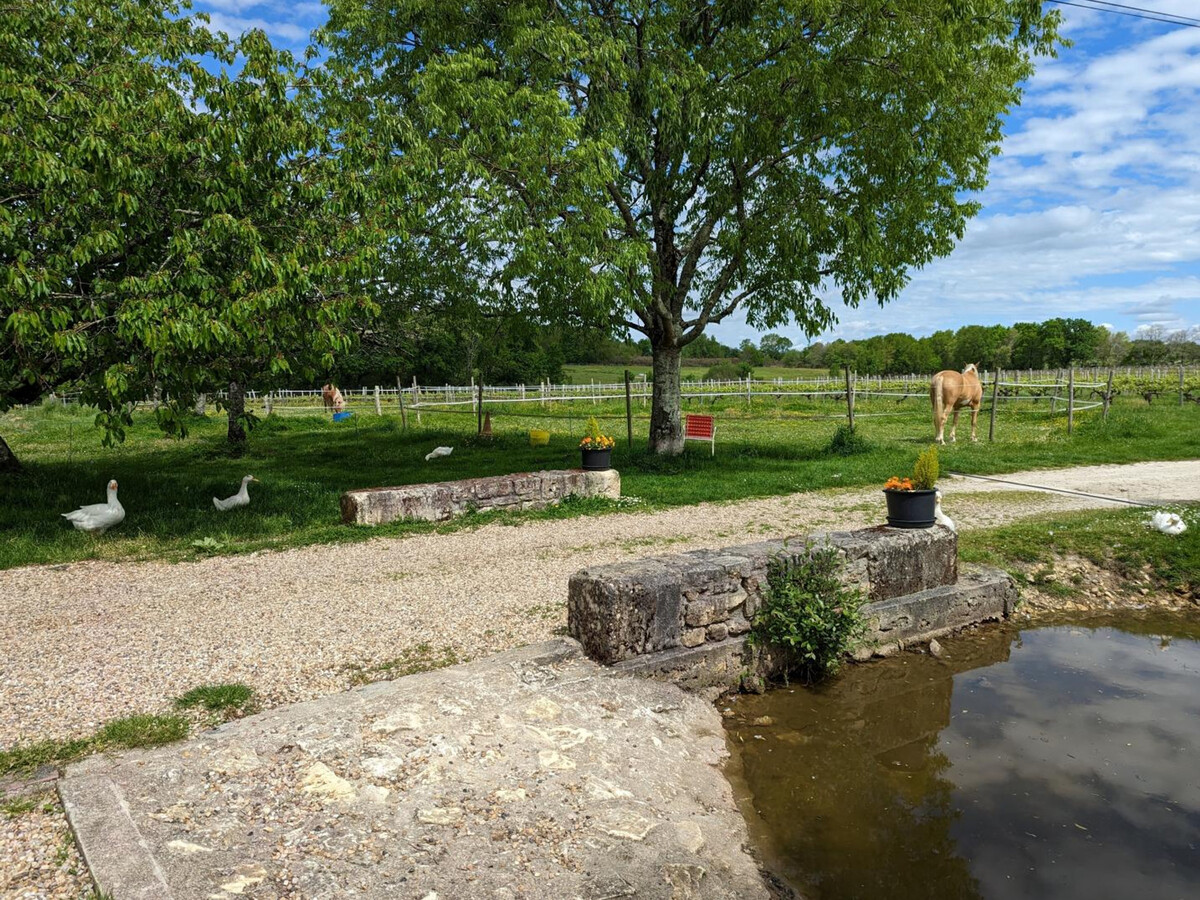 Gite Charentais 4 pers. avec Jardin Clos et Accueil Chevaux - Photo 28