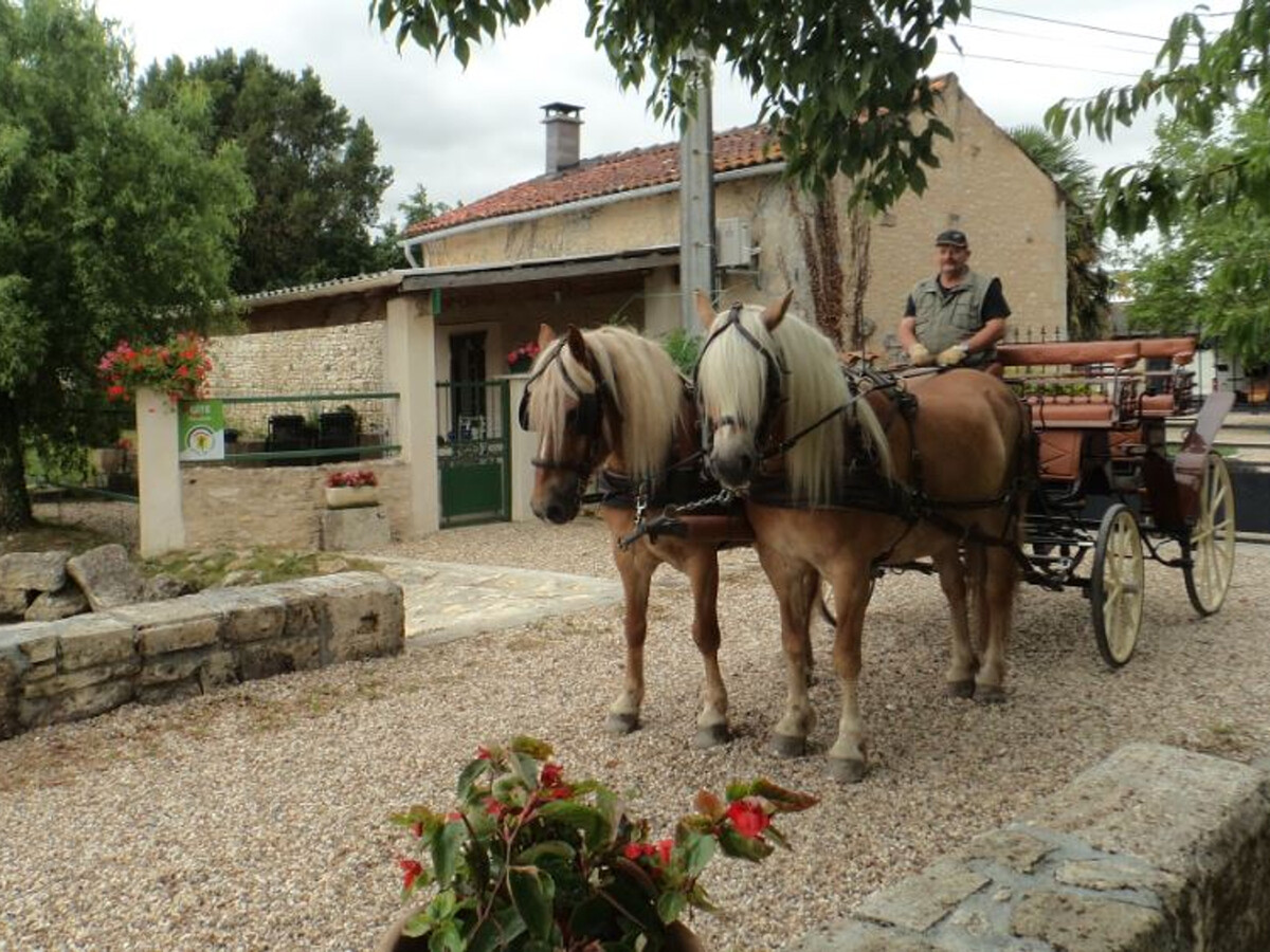 Gite Charentais 4 pers. avec Jardin Clos et Accueil Chevaux - Photo 30
