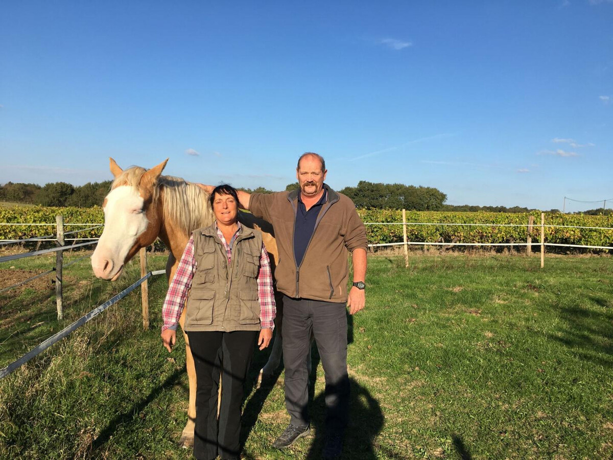Gite Charentais 4 pers. avec Jardin Clos et Accueil Chevaux - Photo 33