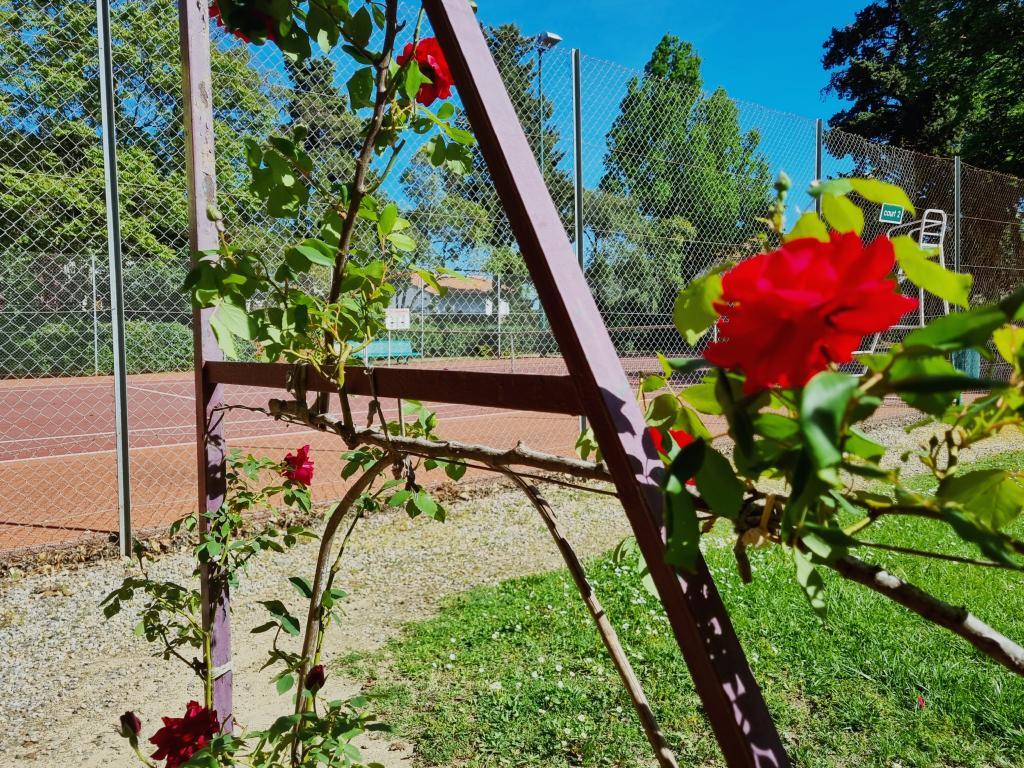 Villa Printemps, 6 chambres avec piscine privée à Olonzac - Photo 27