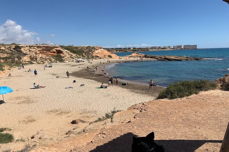 Maison Torrevieja, piscine et jardin, 3 km plage - Photo 35