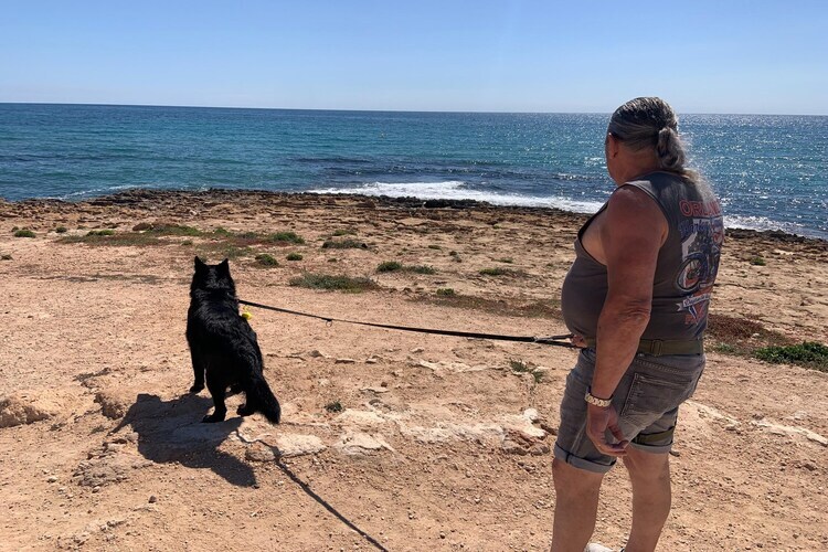 Maison Torrevieja, piscine et jardin, 3 km plage - Photo 36