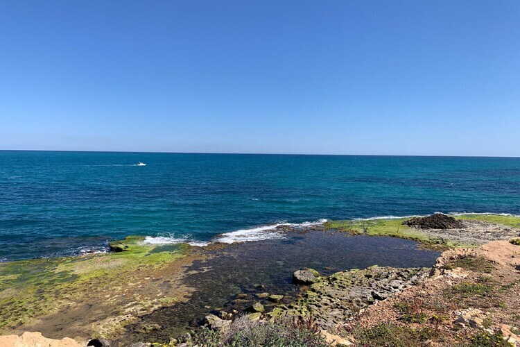 Maison Torrevieja, piscine et jardin, 3 km plage - Photo 37