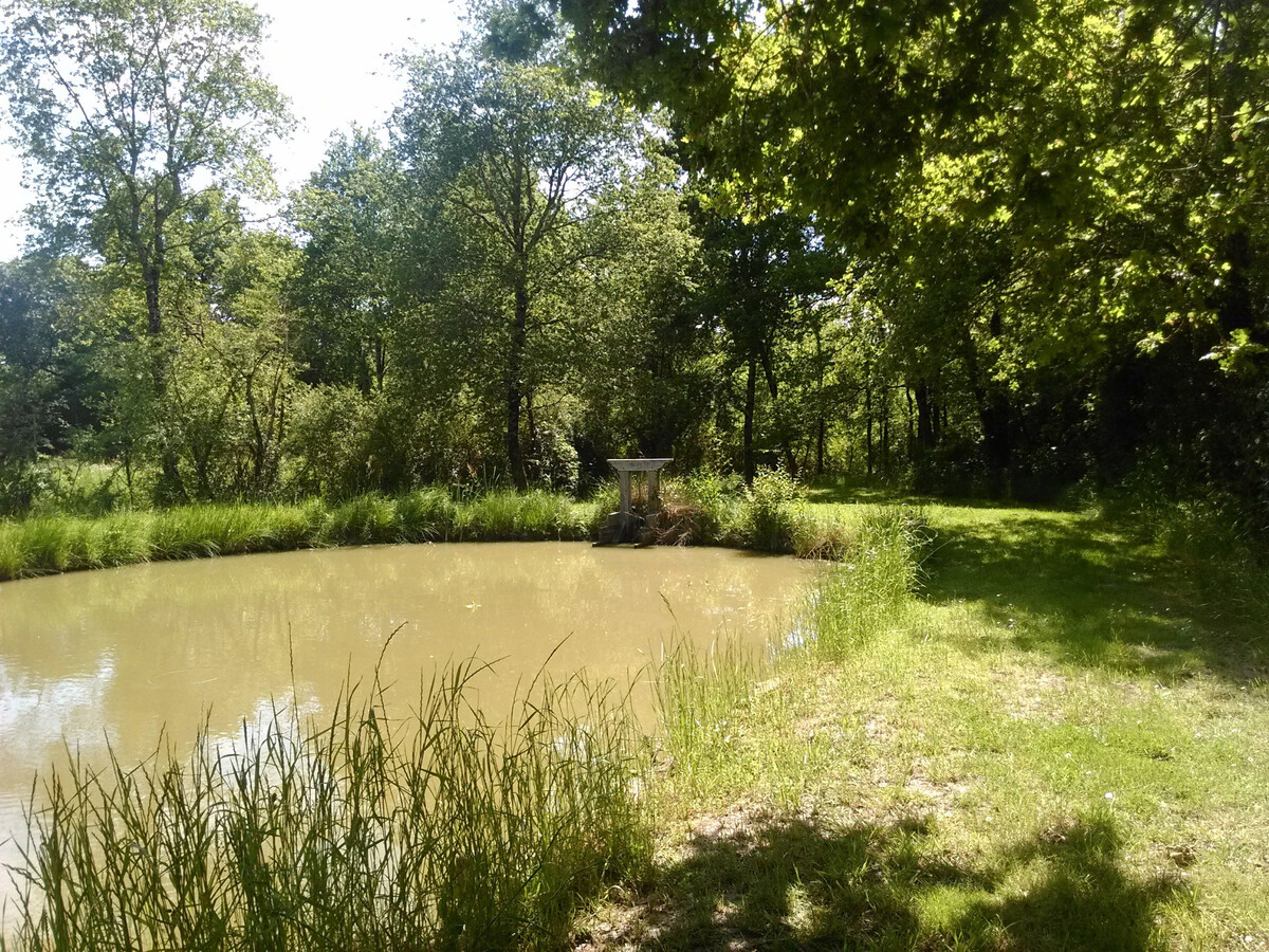 Gîte Le Bihoreau - Étang privé en Brenne - Photo 8